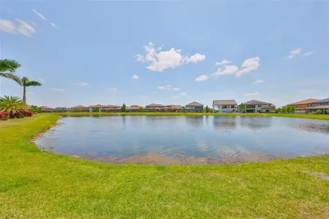 11909 Climbing Fern Avenue Riverview FL 33579