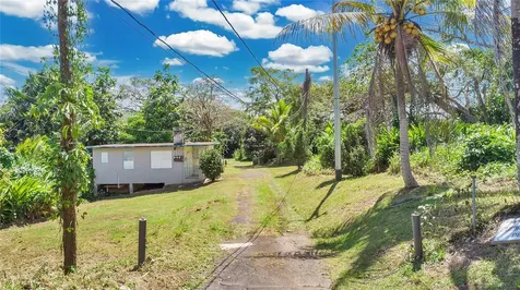 14 Acre Lagoon View Estate San Juan PR 00926