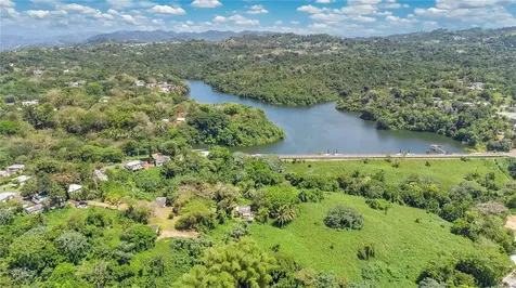 14 Acre Lagoon View Estate San Juan PR 00926