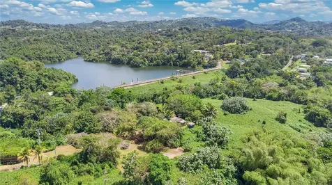 14 Acre Lagoon View Estate San Juan PR 00926