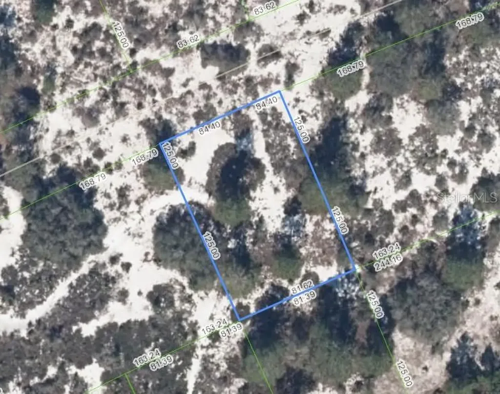 463 Humoresque Lane Lake Placid FL 33852