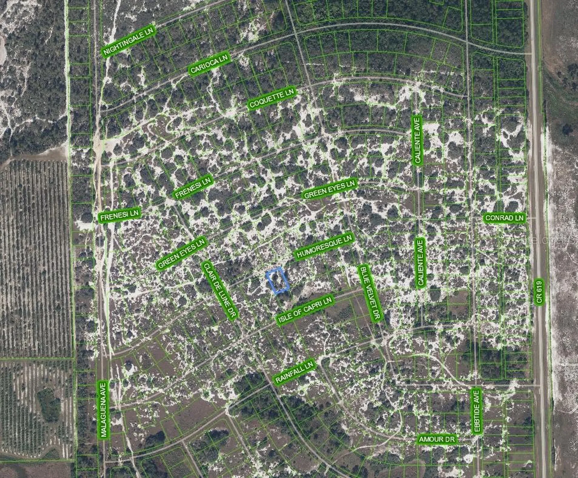 463 Humoresque Lane Lake Placid FL 33852