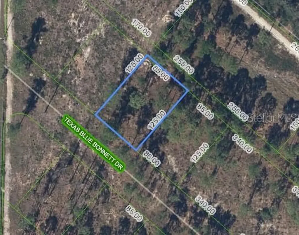 6139 Texas Blue Bonnett Drive Sebring FL 33876