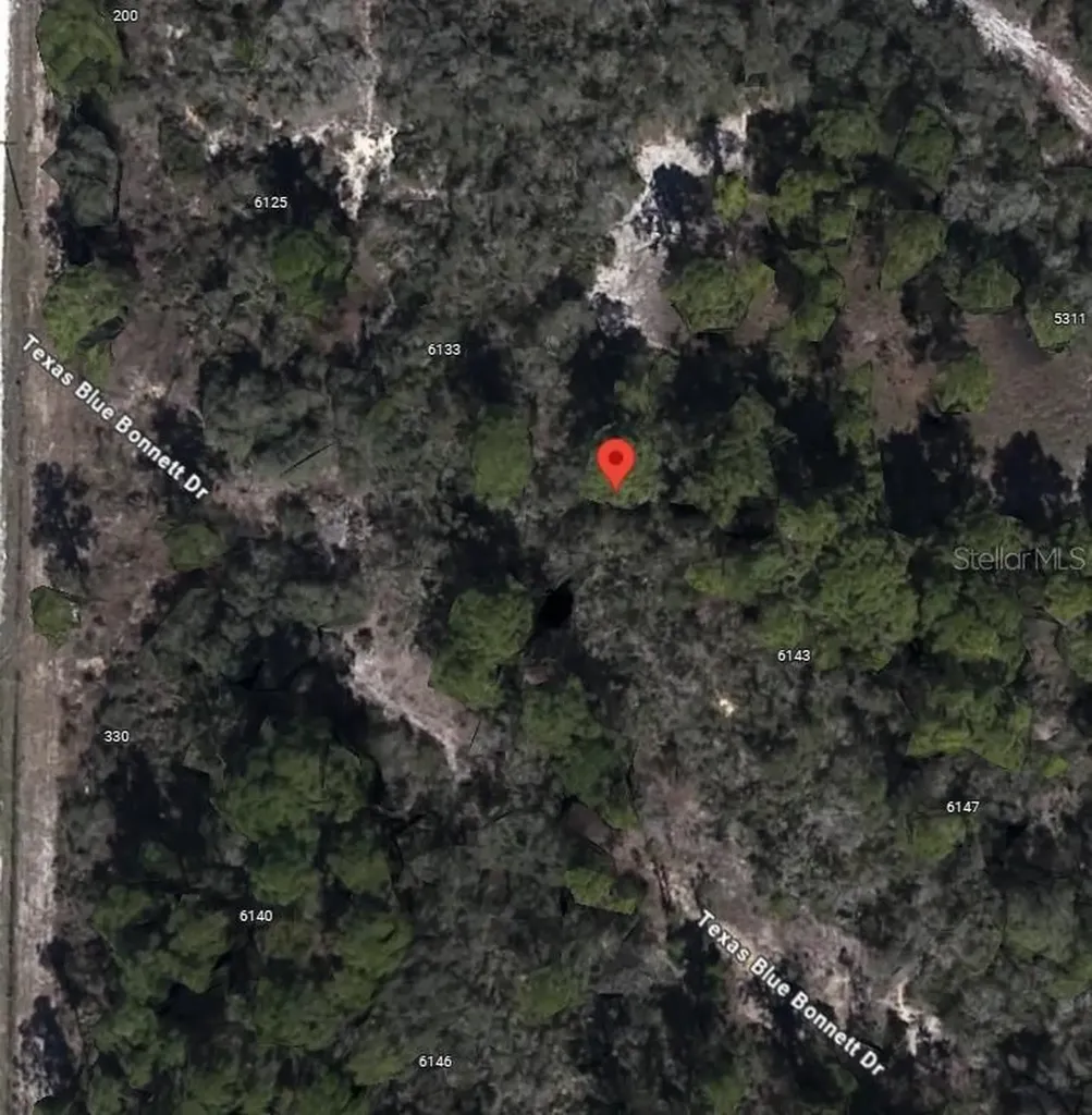 6139 Texas Blue Bonnett Drive Sebring FL 33876