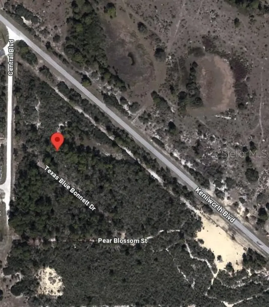 6139 Texas Blue Bonnett Drive Sebring FL 33876