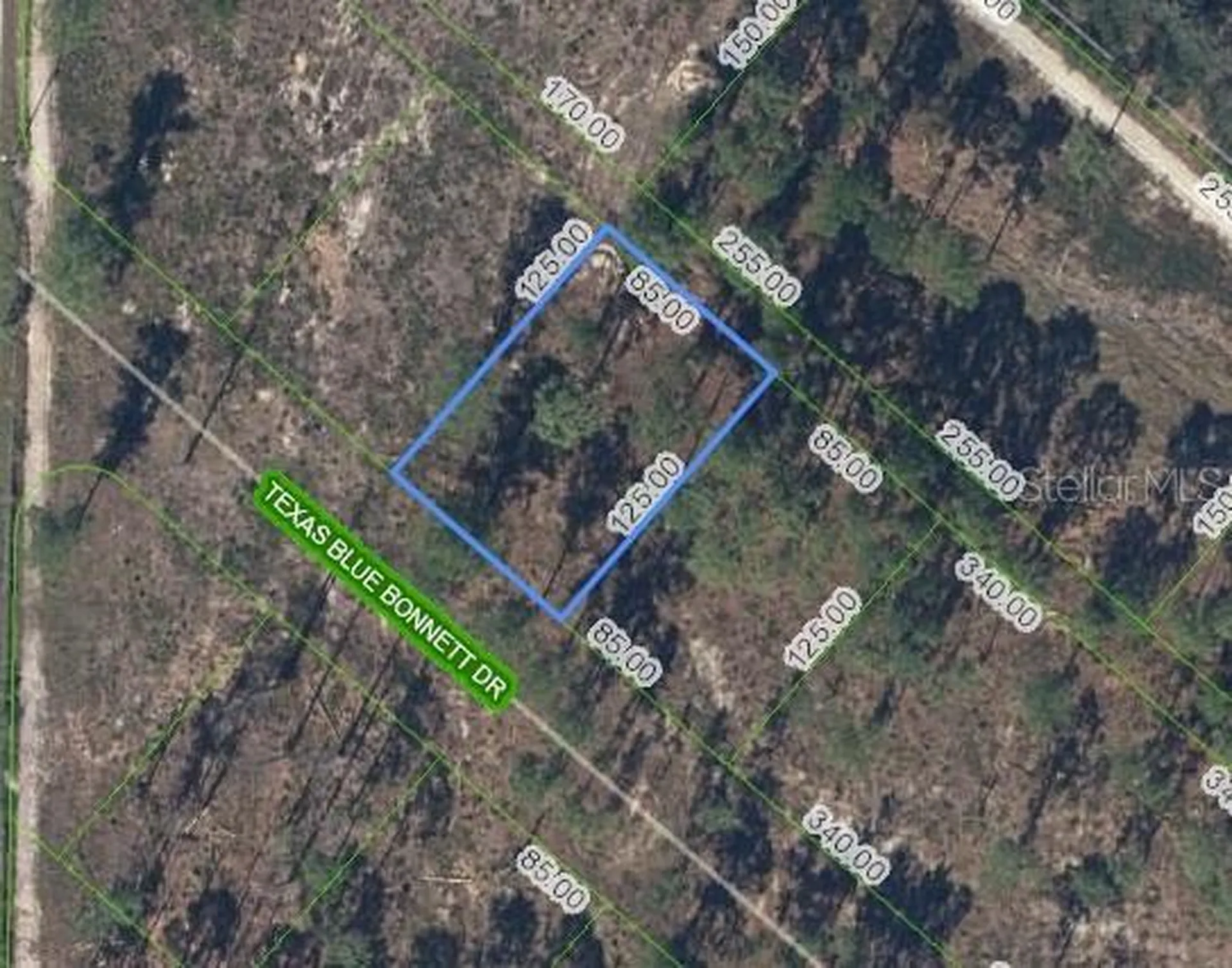 6139 Texas Blue Bonnett Drive Sebring FL 33876