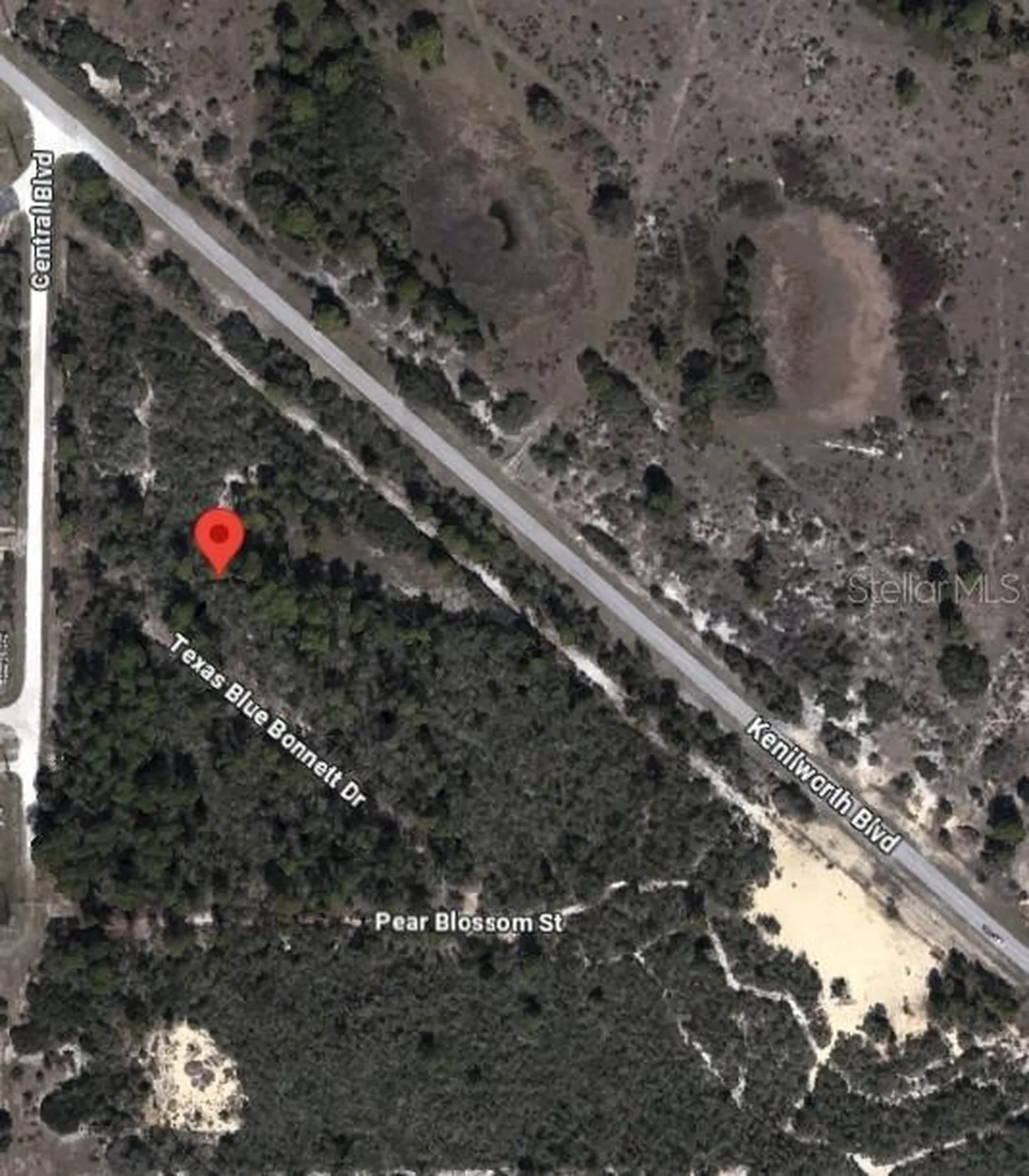 6139 Texas Blue Bonnett Drive Sebring FL 33876
