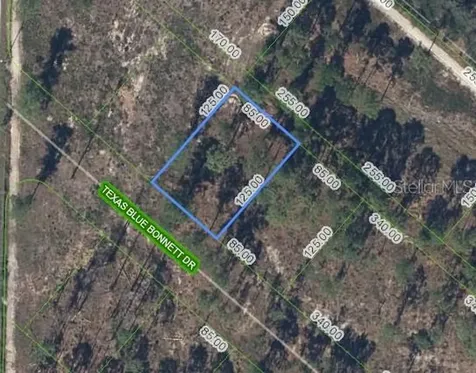 6139 Texas Blue Bonnett Drive Sebring FL 33876
