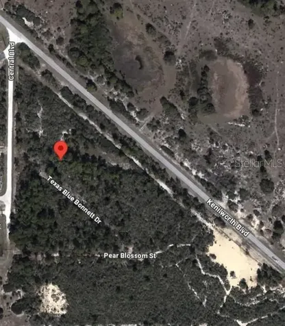 6139 Texas Blue Bonnett Drive Sebring FL 33876