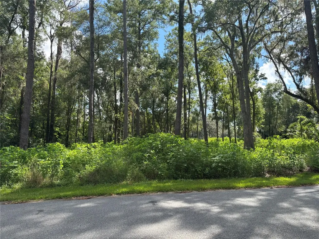 1555 SE 73rd Place Ocala FL 34480