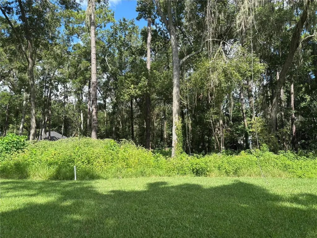 1555 SE 73rd Place Ocala FL 34480