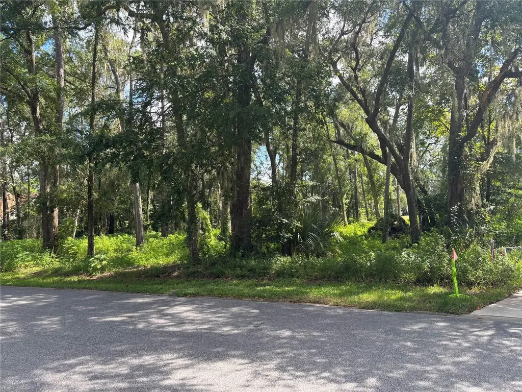 1555 SE 73rd Place Ocala FL 34480