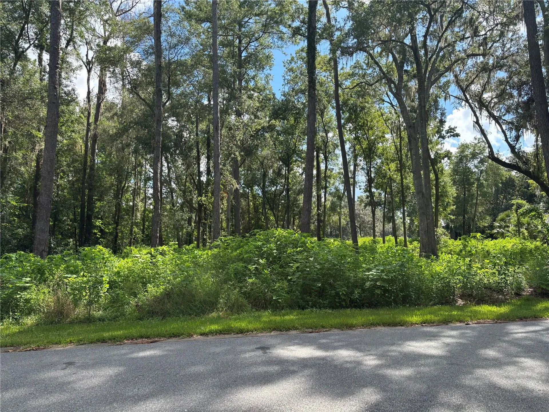 1555 SE 73rd Place Ocala FL 34480