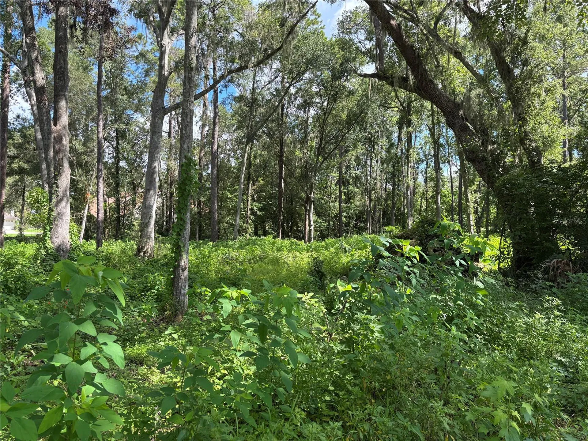 1555 SE 73rd Place Ocala FL 34480
