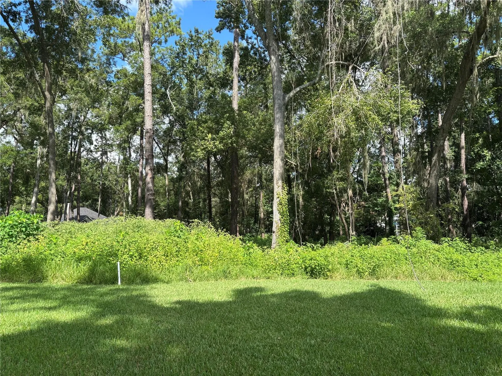 1555 SE 73rd Place Ocala FL 34480