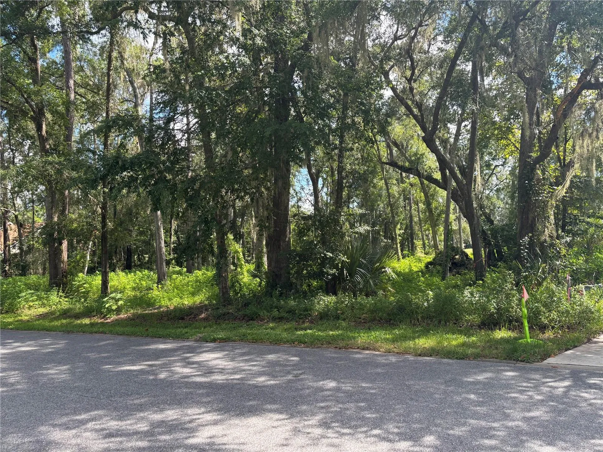 1555 SE 73rd Place Ocala FL 34480