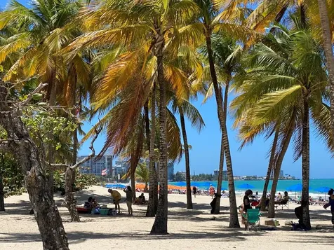 5757 Ave Isla Verde Carolina PR 00979