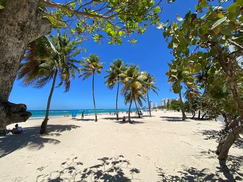 5757 Ave Isla Verde Carolina PR 00979