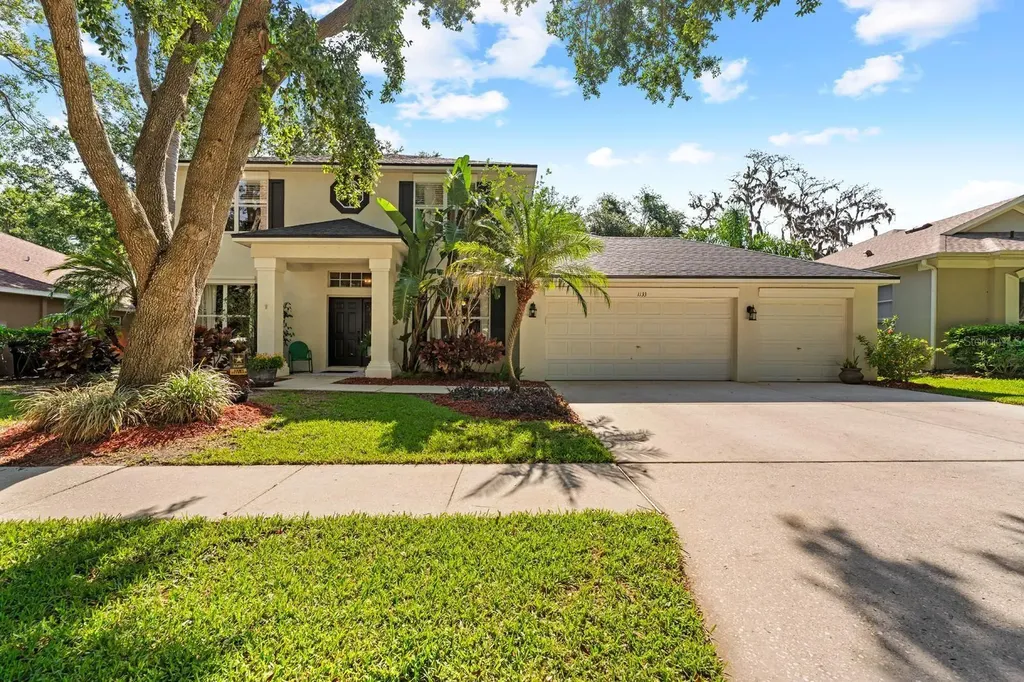 1133 Split Silk Street Valrico FL 33594
