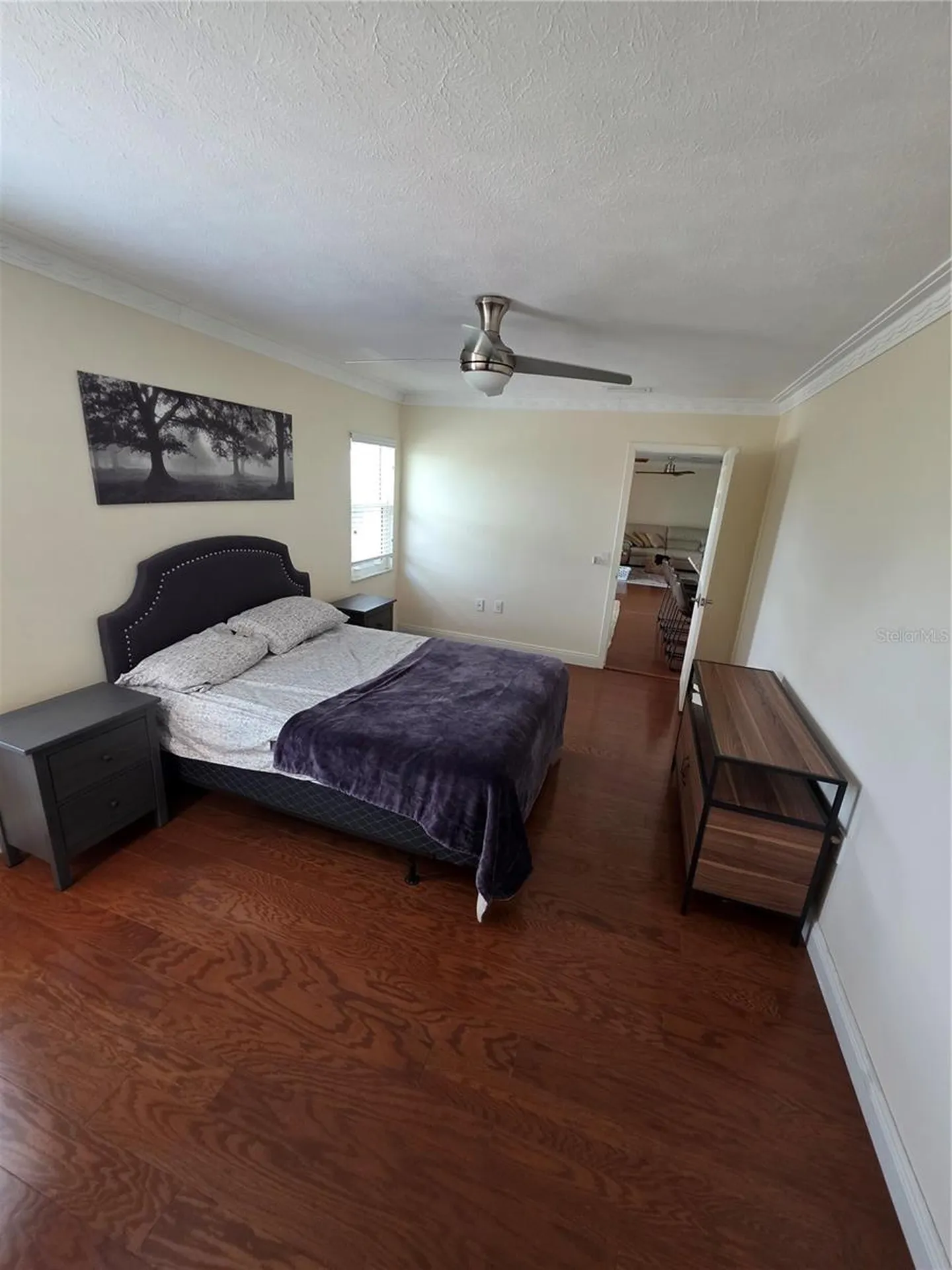 2310 Medford Lane Brandon FL 33511