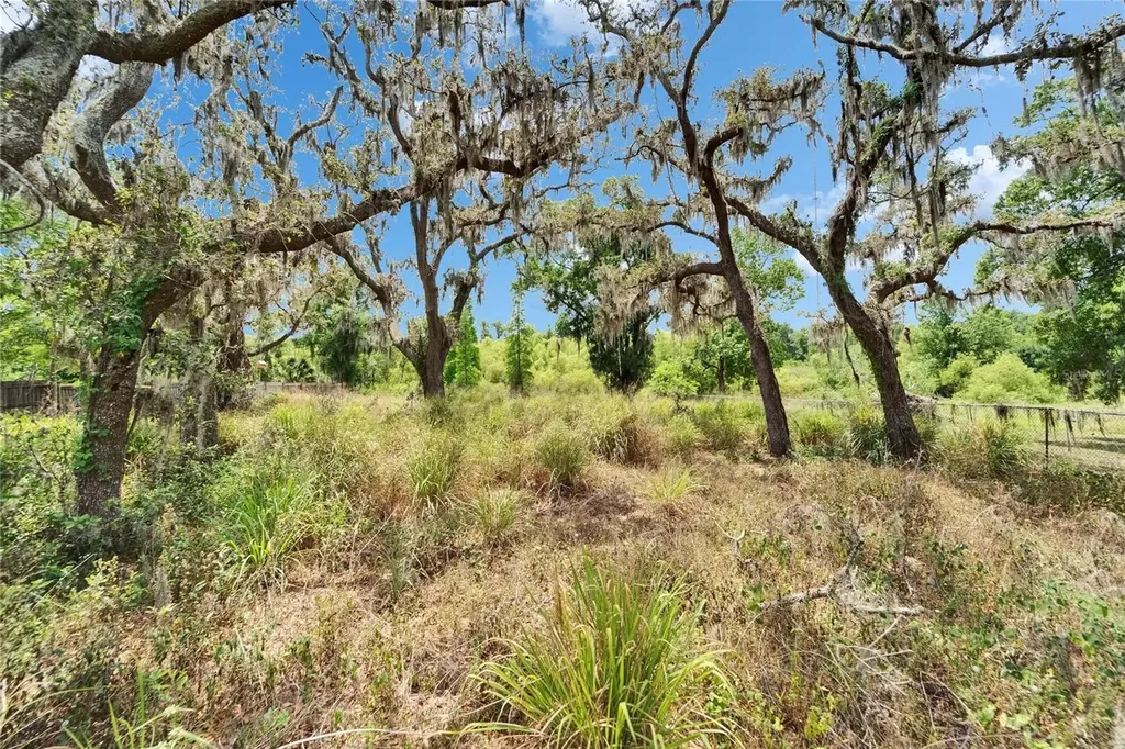 13907 Raulerson Road Riverview FL 33569