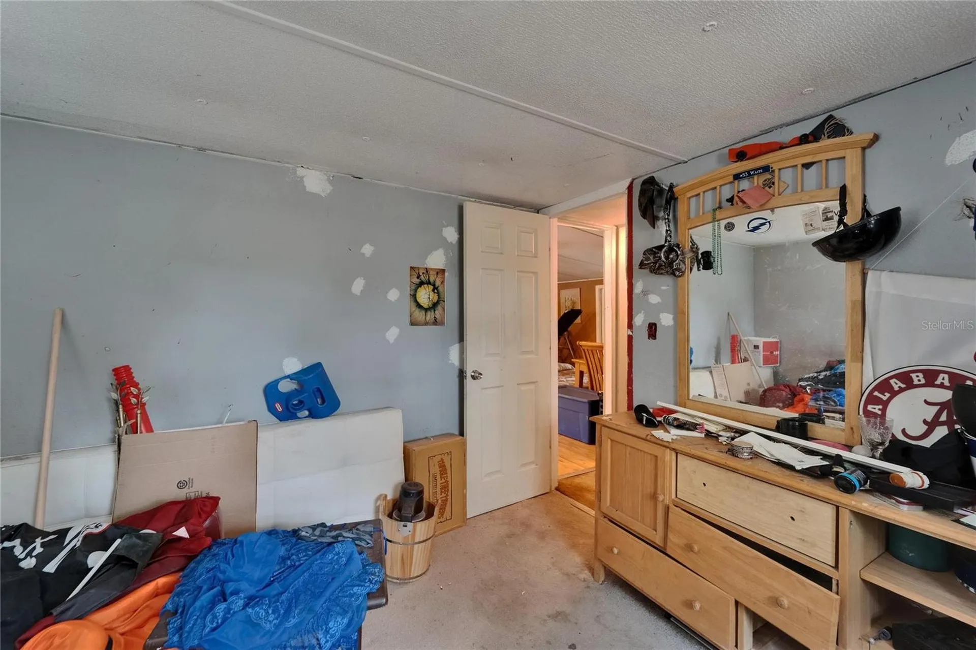 13907 Raulerson Road Riverview FL 33569