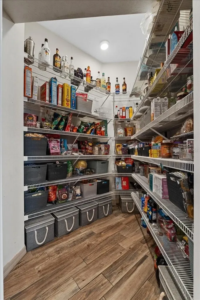 6007 Hammock Hill Avenue Lithia FL 33547