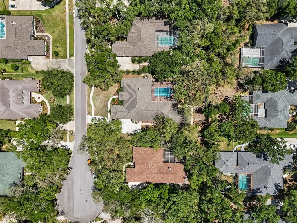 6007 Hammock Hill Avenue Lithia FL 33547