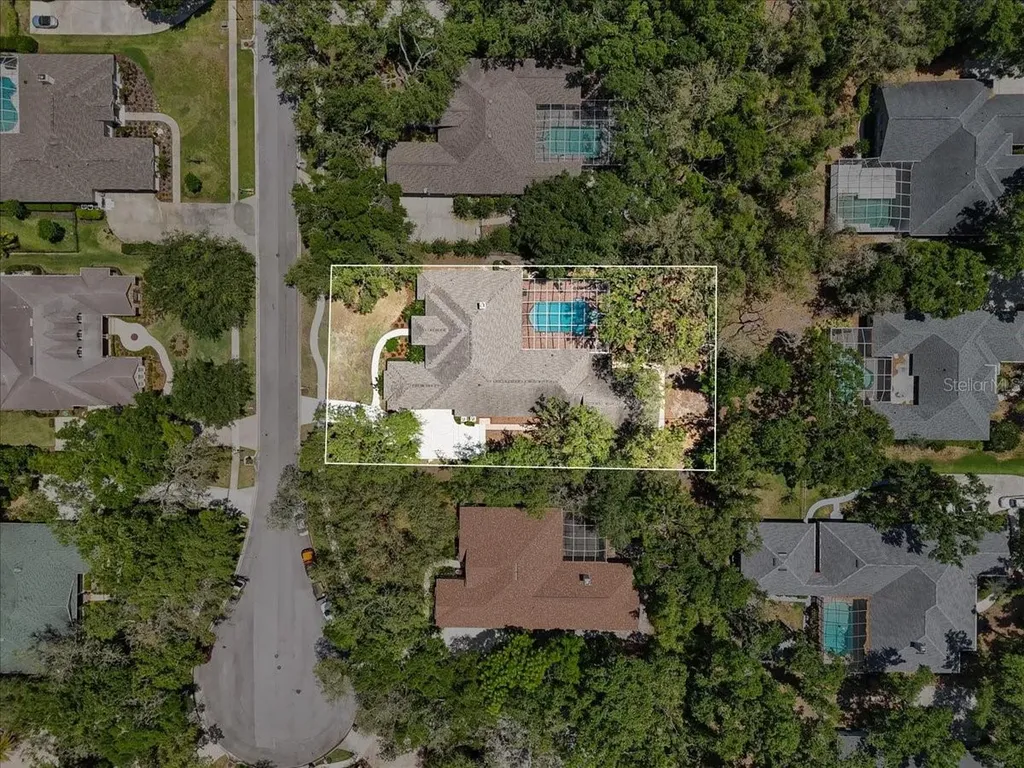 6007 Hammock Hill Avenue Lithia FL 33547