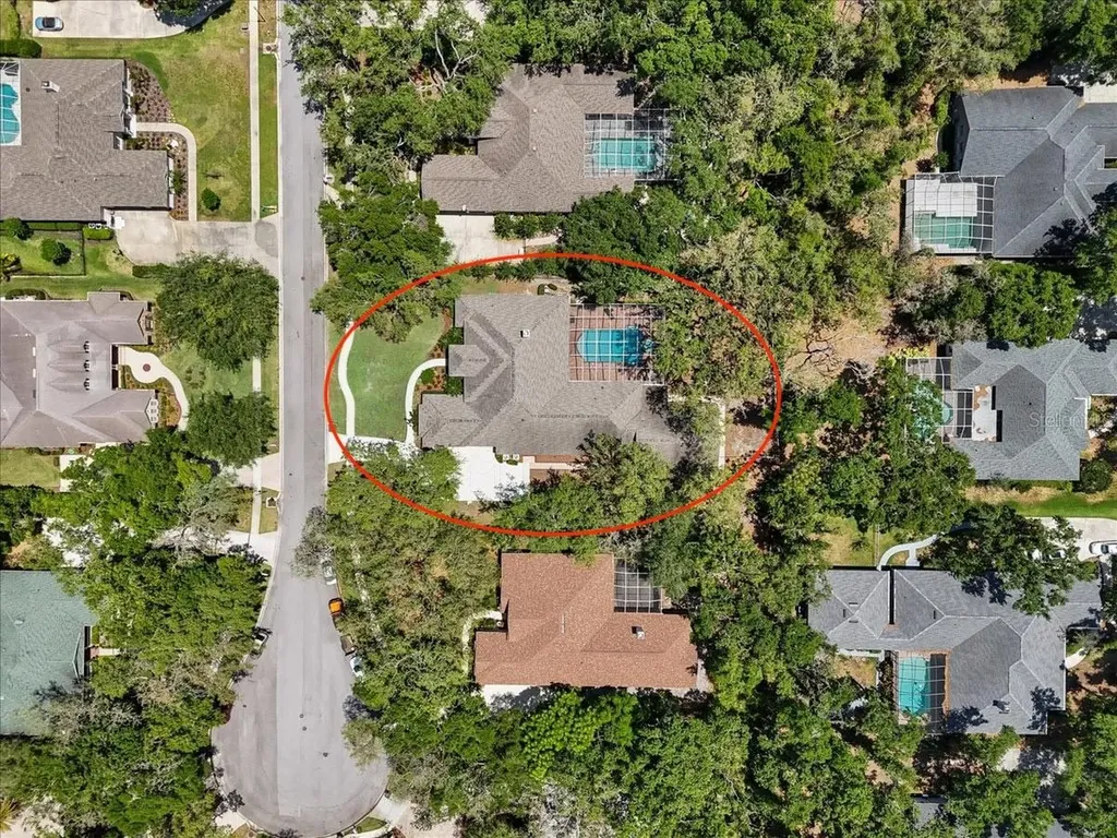 6007 Hammock Hill Avenue Lithia FL 33547