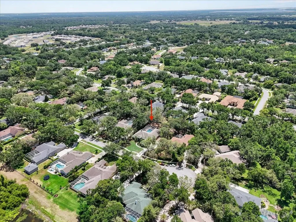 6007 Hammock Hill Avenue Lithia FL 33547