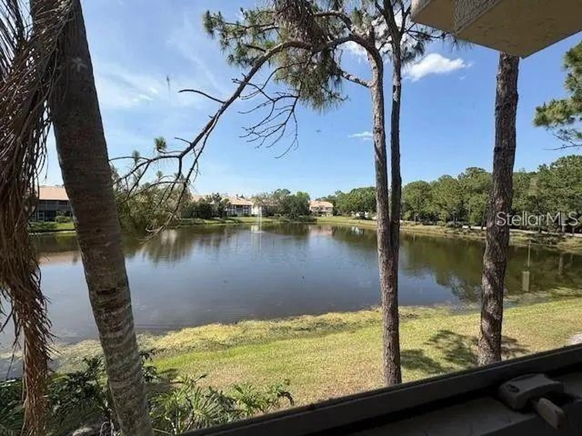 114 Clays Trail Oldsmar FL 34677