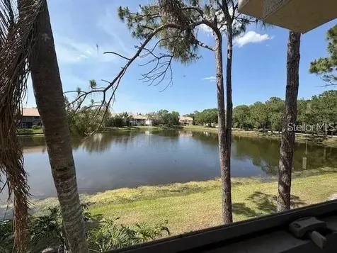114 Clays Trail Oldsmar FL 34677