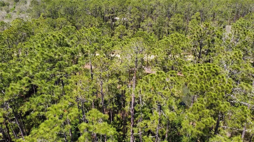 206 Hudson Street Interlachen FL 32148