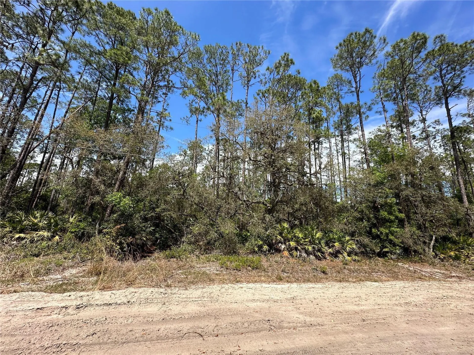 206 Hudson Street Interlachen FL 32148