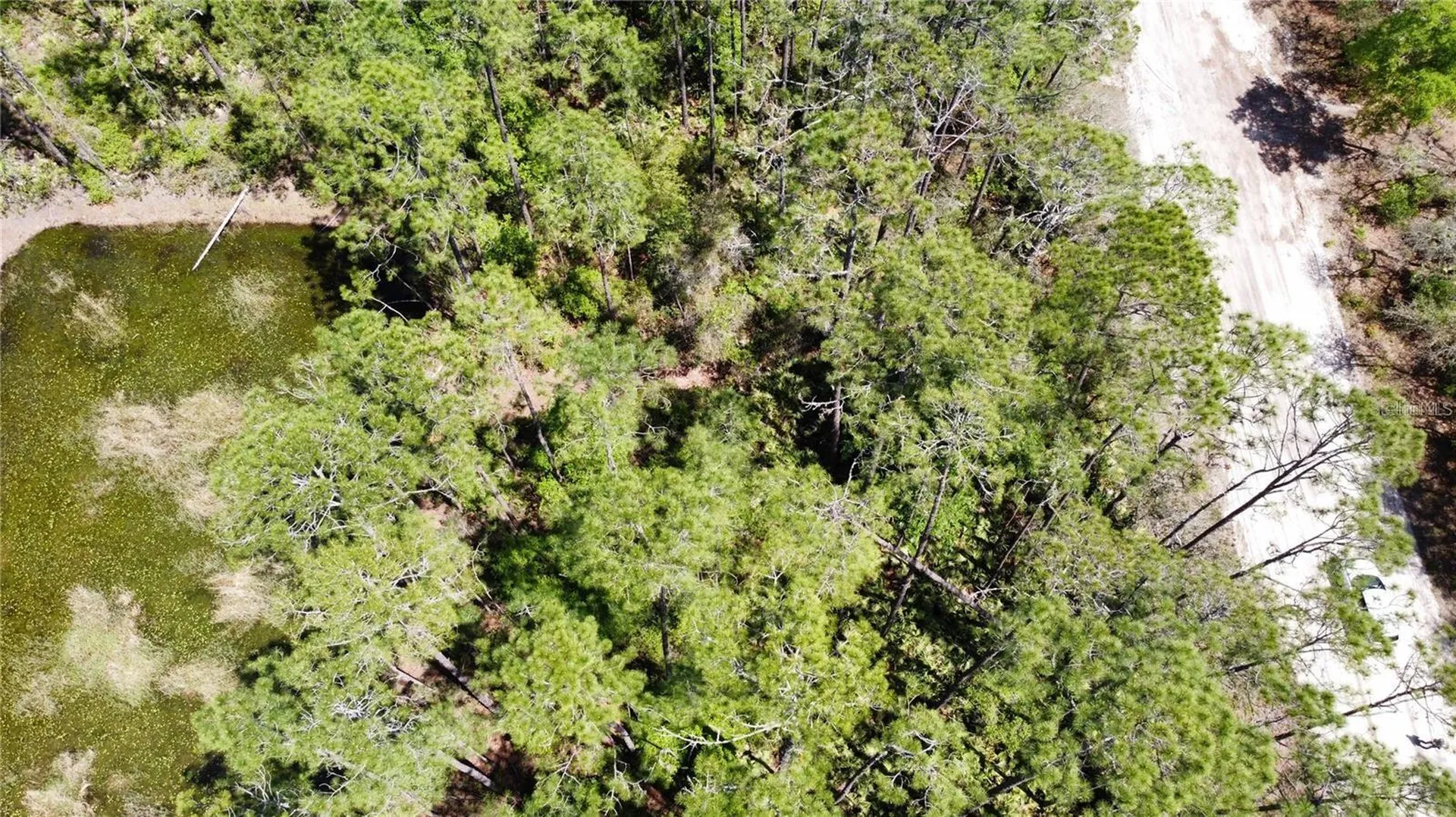 206 Hudson Street Interlachen FL 32148