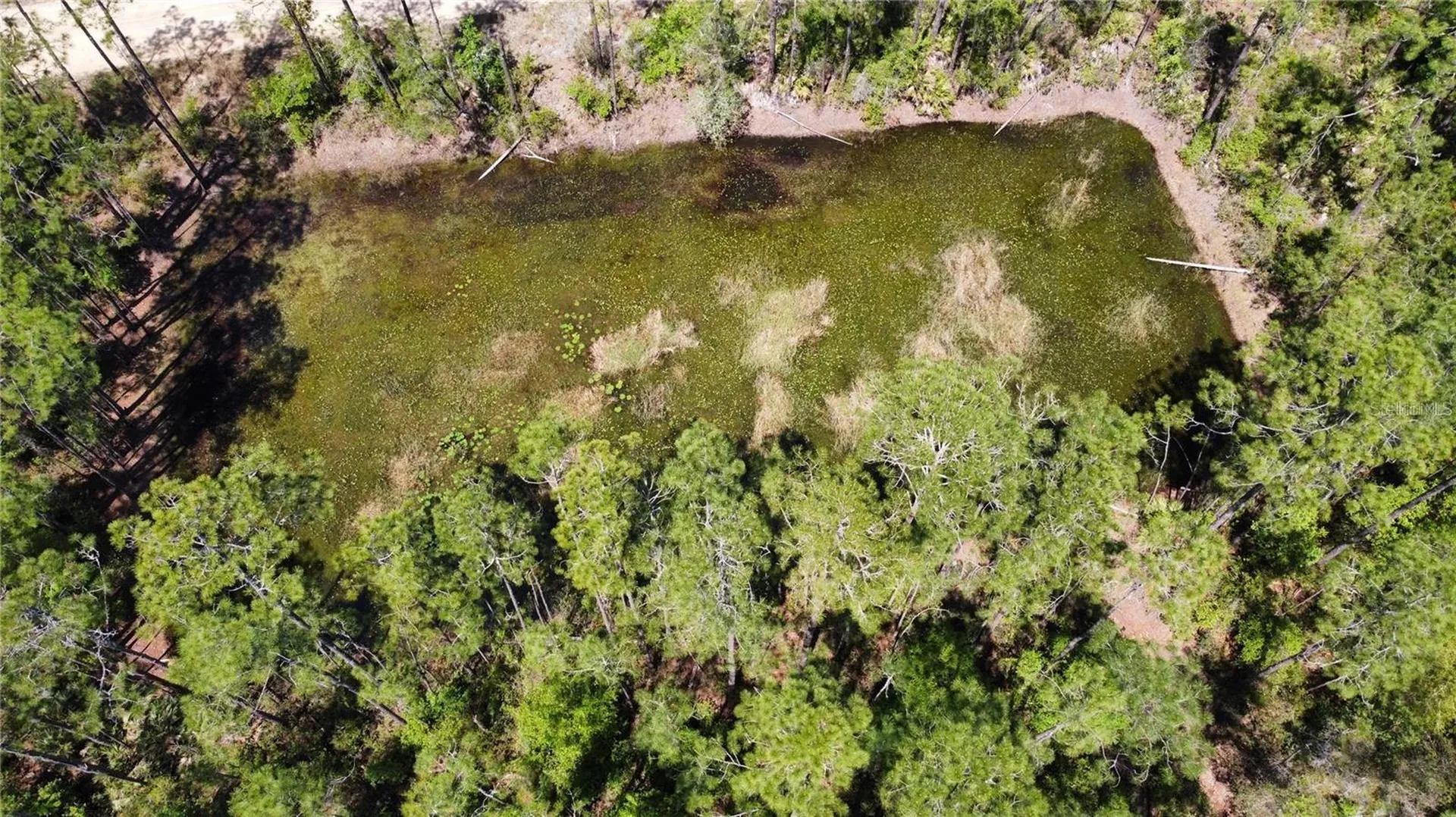 206 Hudson Street Interlachen FL 32148