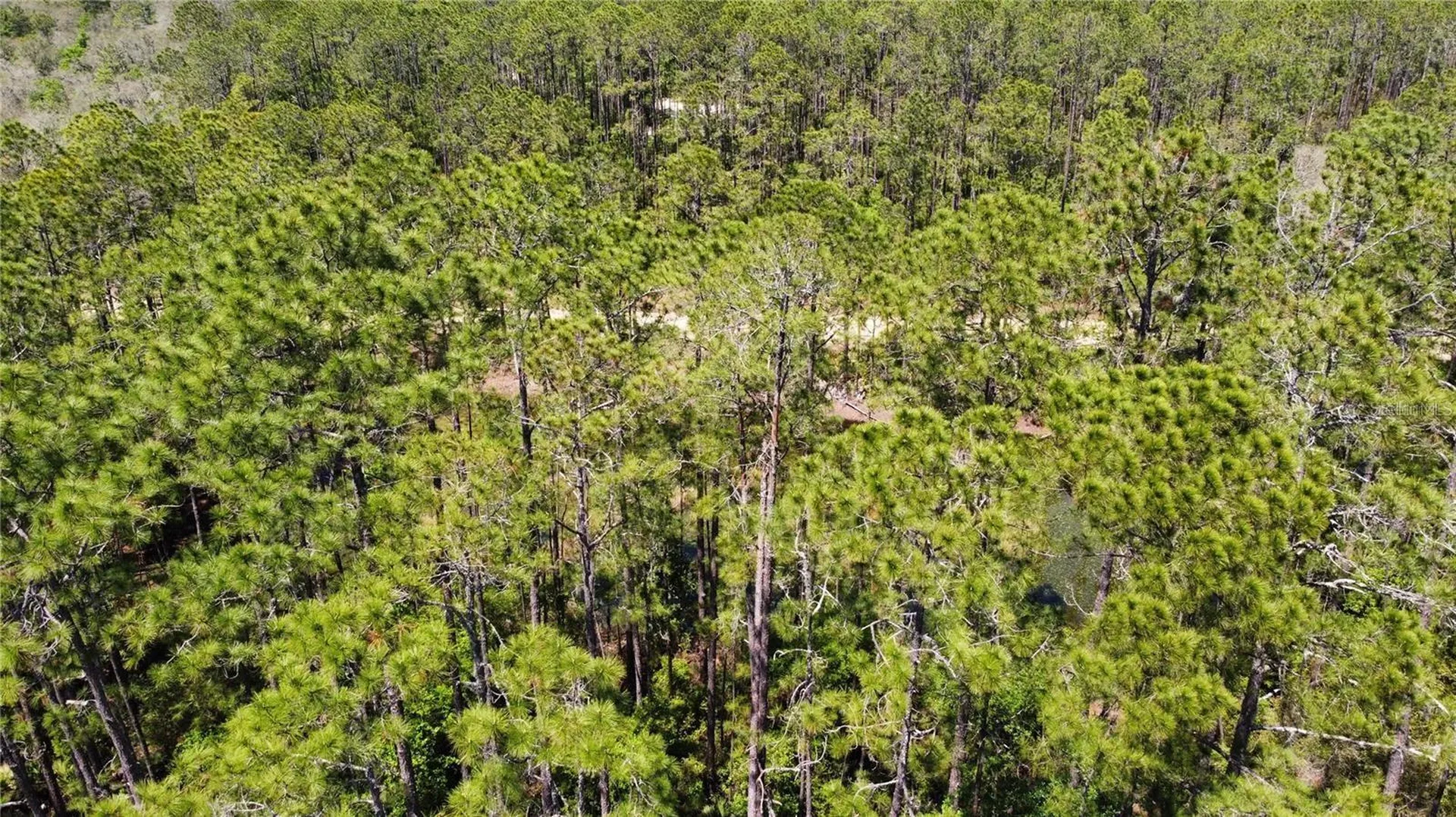 206 Hudson Street Interlachen FL 32148