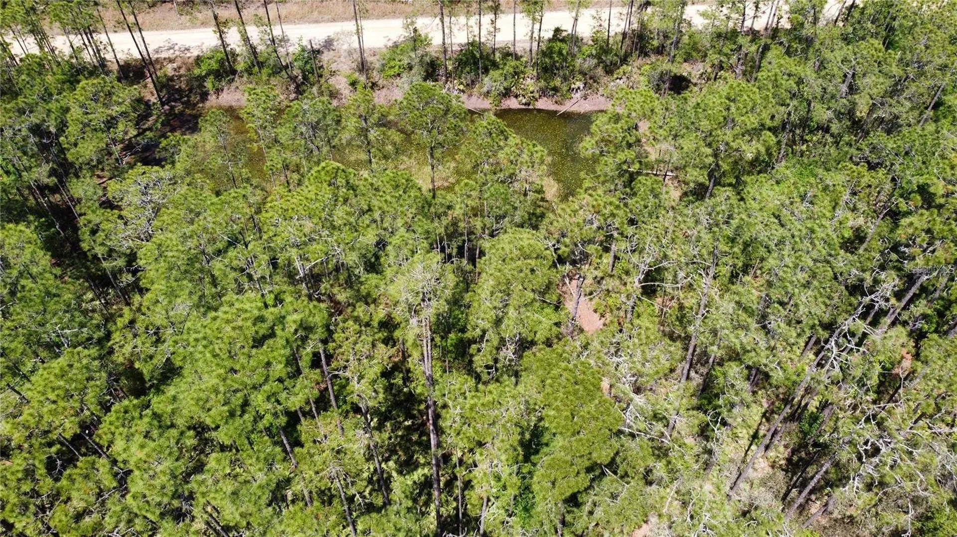 206 Hudson Street Interlachen FL 32148