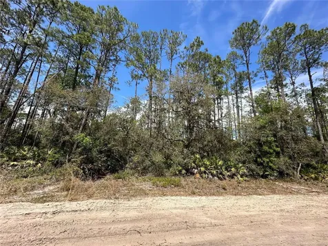 206 Hudson Street Interlachen FL 32148