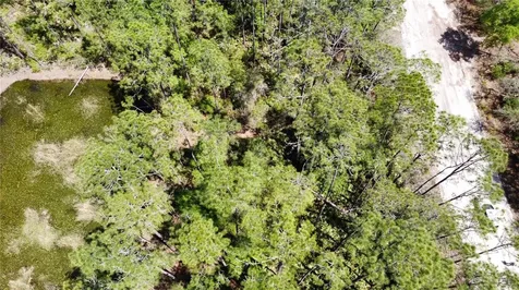 206 Hudson Street Interlachen FL 32148