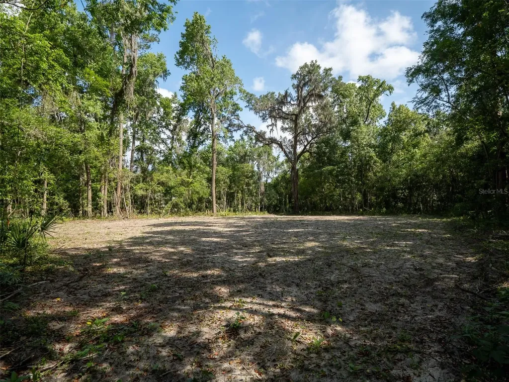 983 SW 25th Place Gainesville FL 32601