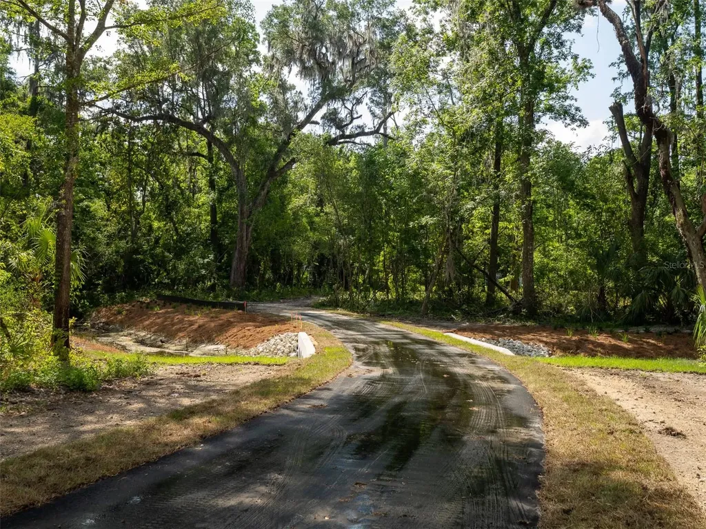983 SW 25th Place Gainesville FL 32601