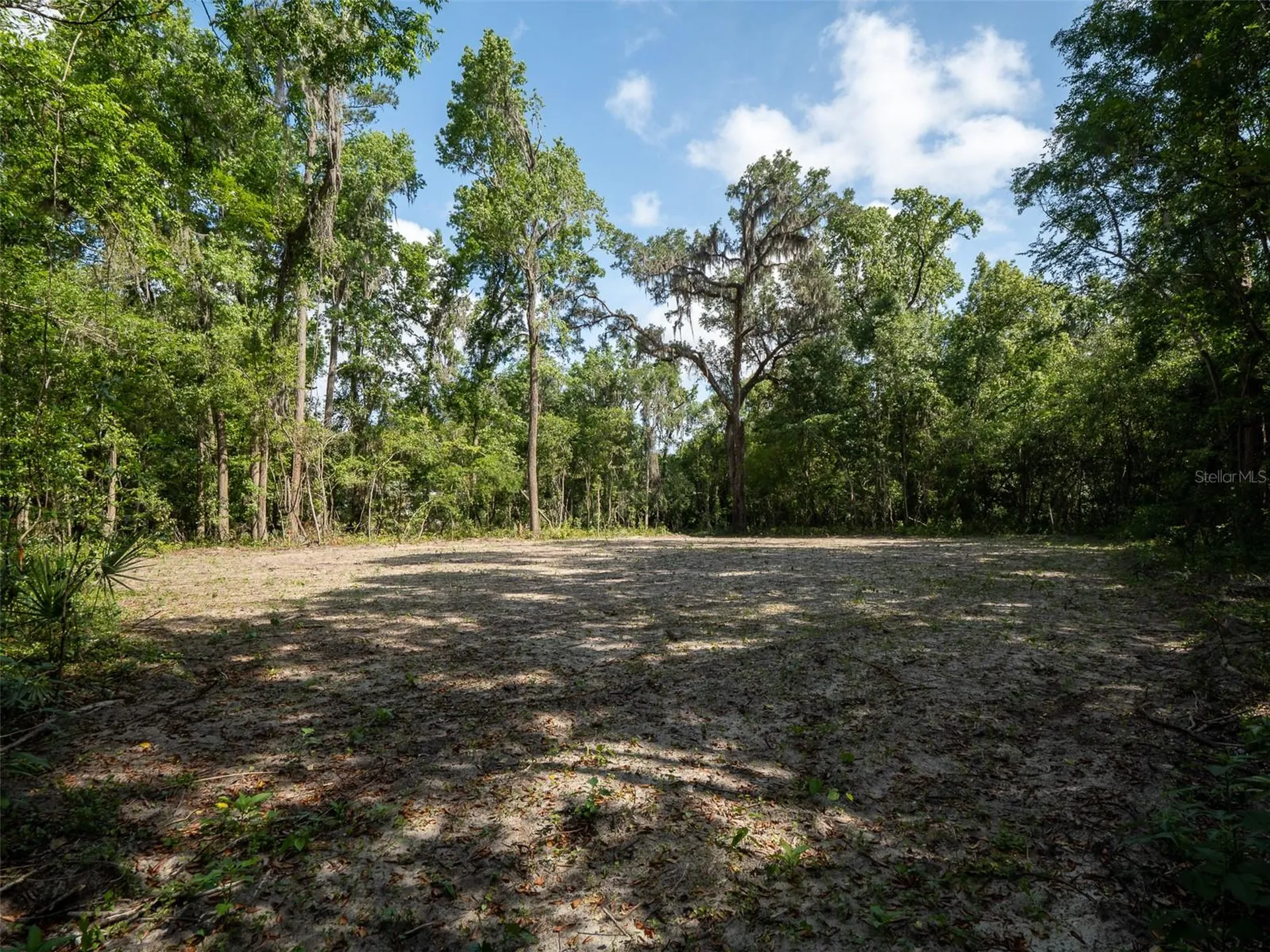 983 SW 25th Place Gainesville FL 32601