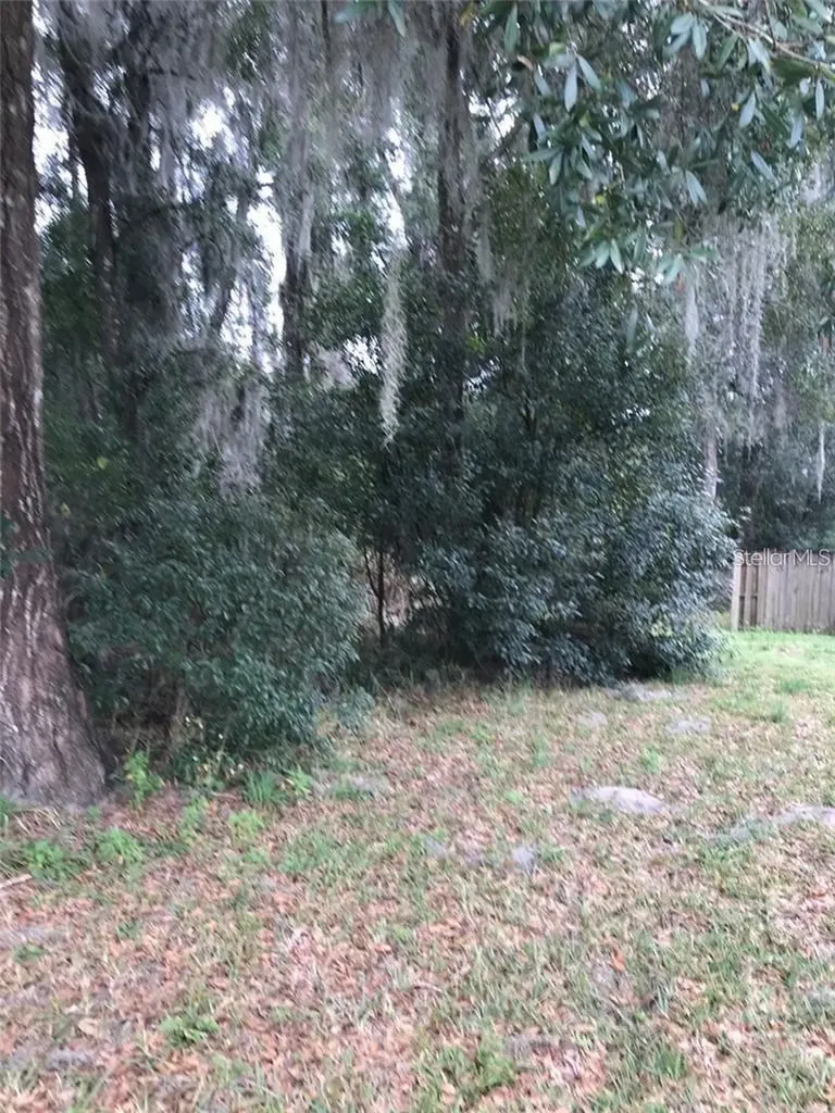 260 Mercers Fernery Road Deland FL 32720