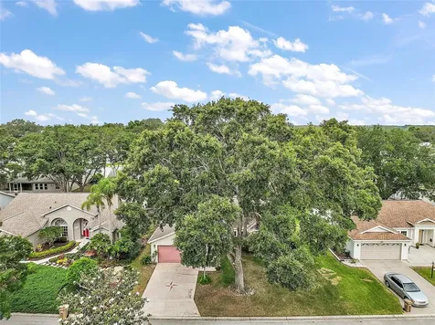 25333 River Crest Drive Leesburg FL 34748