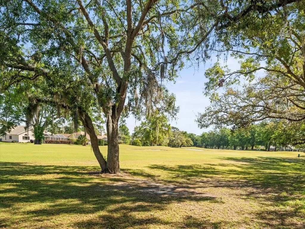 9355 French Quarters Circle Weeki Wachee FL 34613