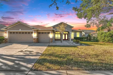 6305 Bridgevista Drive Lithia FL 33547