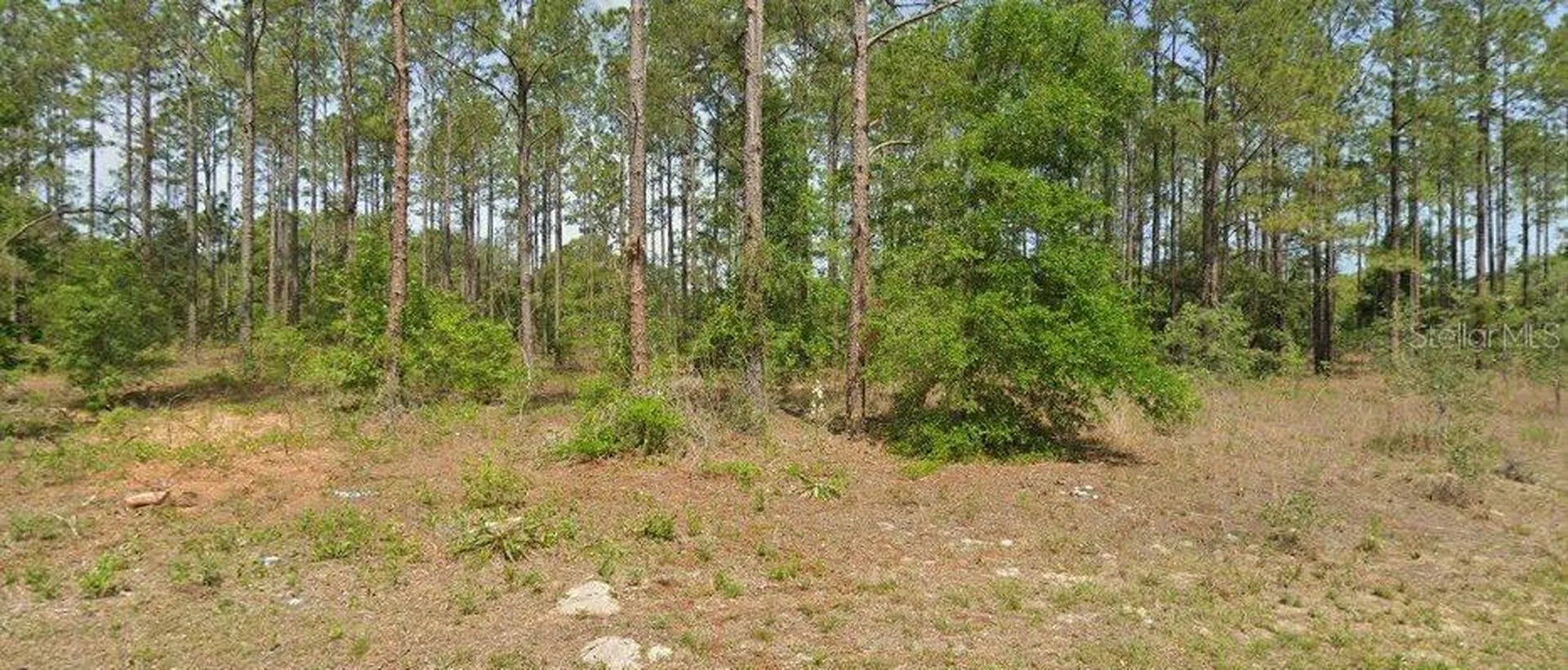 10940 N Letterwood Way Dunnellon FL 34434