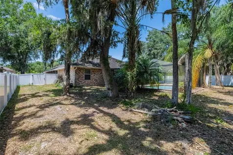 2933 Blackwater Oaks Drive Mulberry FL 33860